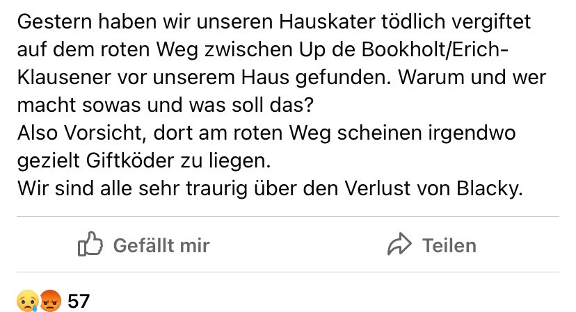 Giftköder-Vergifteter Kater-Profilbild