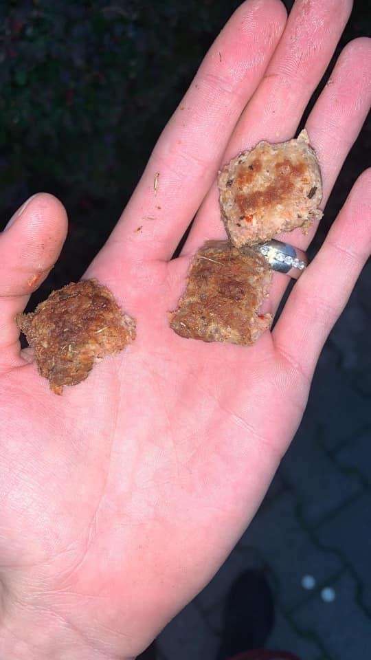 Giftköder-Giftköder-Profilbild