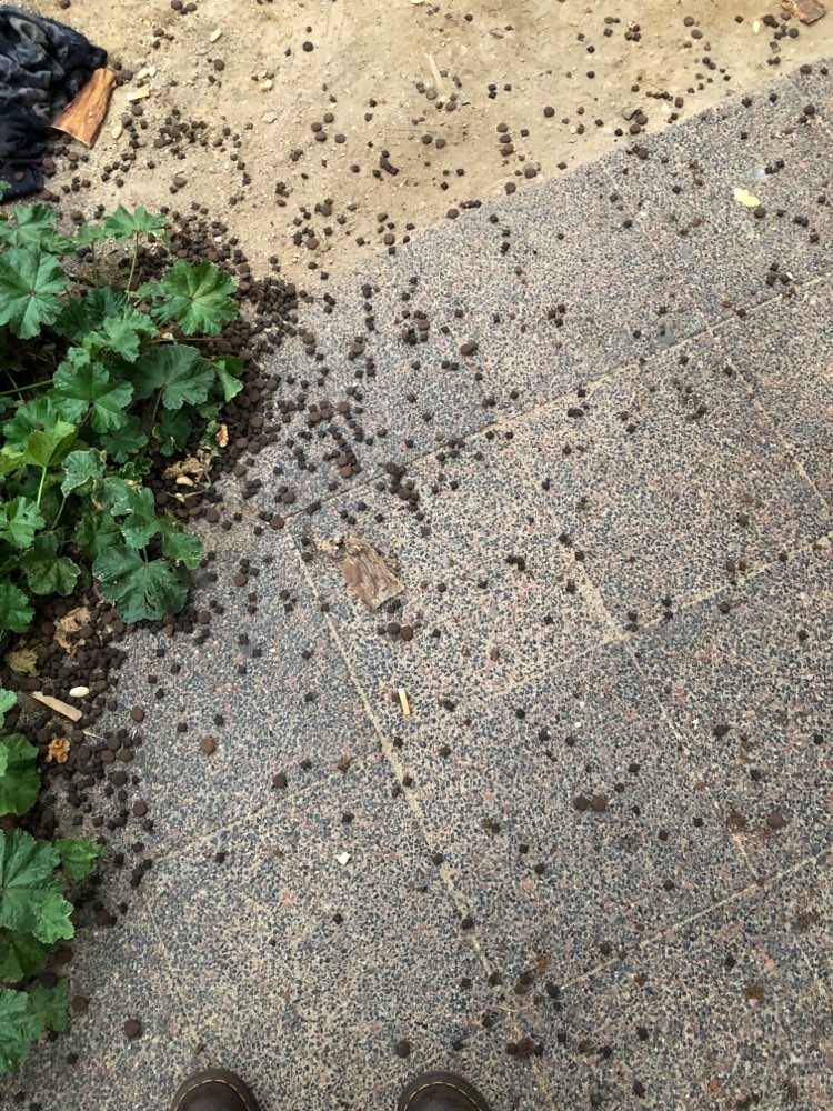 Giftköder-Verdächtiges Futter-Profilbild