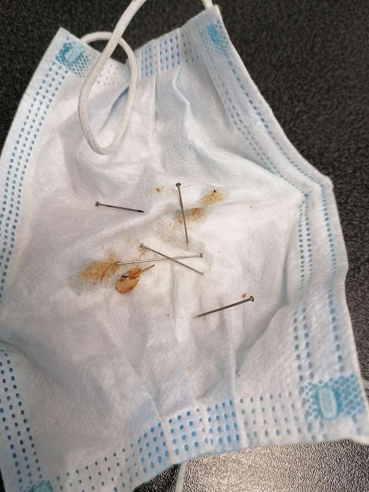 Giftköder-Giftköder in Maske-Profilbild