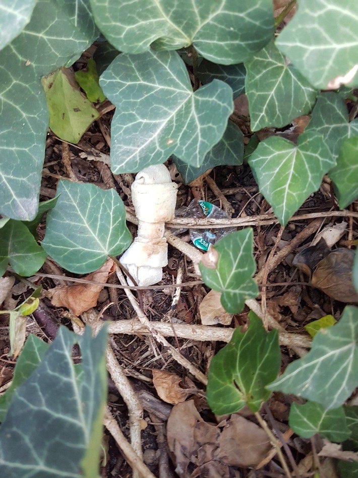 Giftköder-Ausgelegte Giftköder an der Annette-Allee-Profilbild