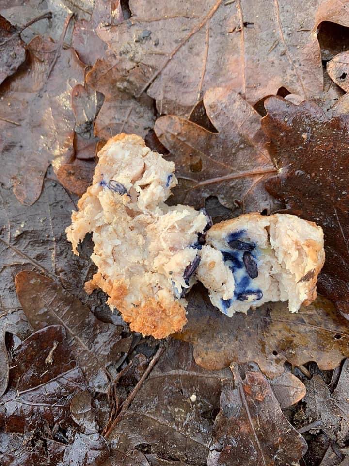 Giftköder-Wiederholt Giftköder-Profilbild