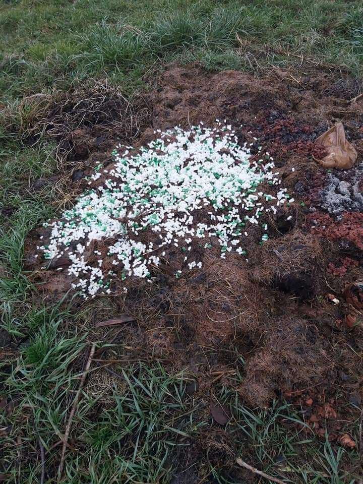 Giftköder-GIFT-Profilbild