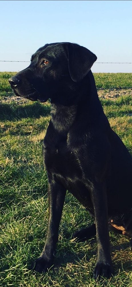 Suchmeldung-Name unbekannt-Profilbild