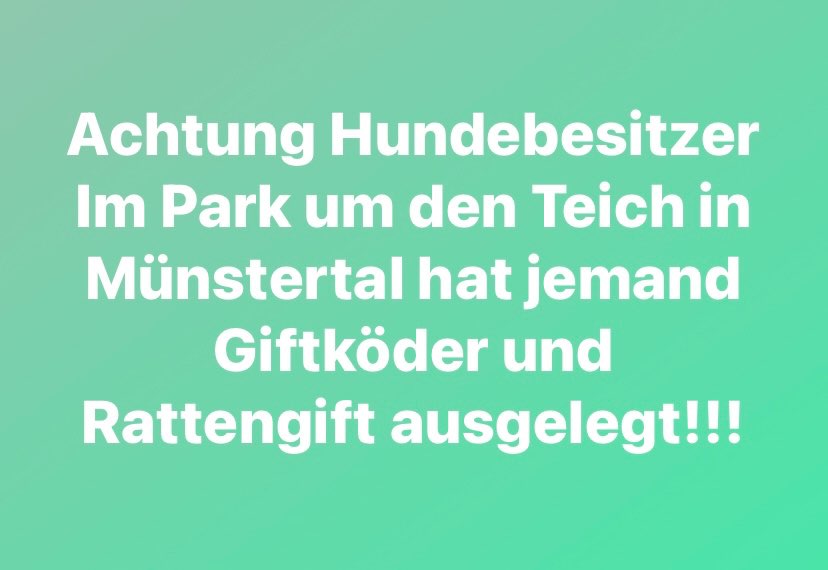 Giftköder-Giftköder-Profilbild
