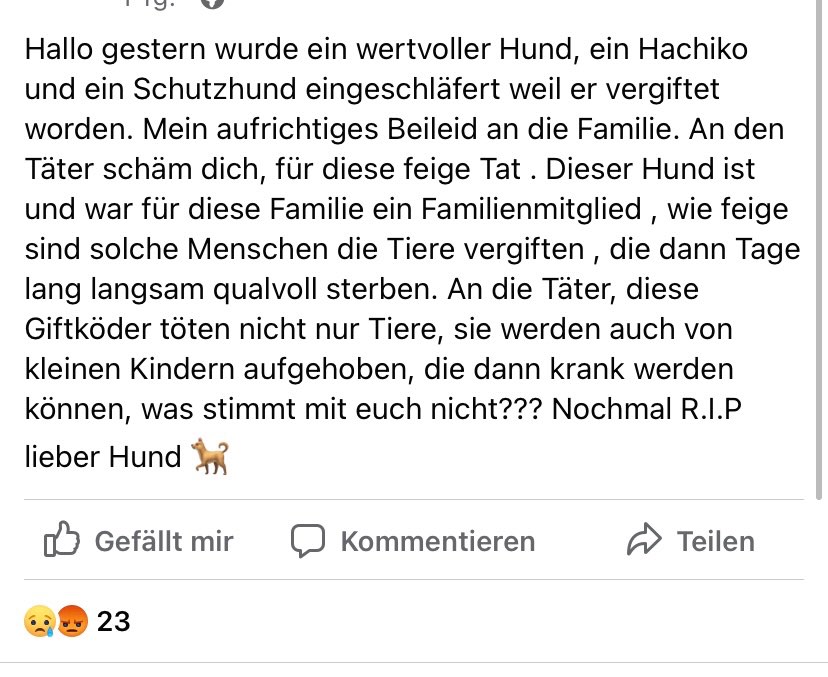 Giftköder-Giftköder - Toter Hund-Profilbild