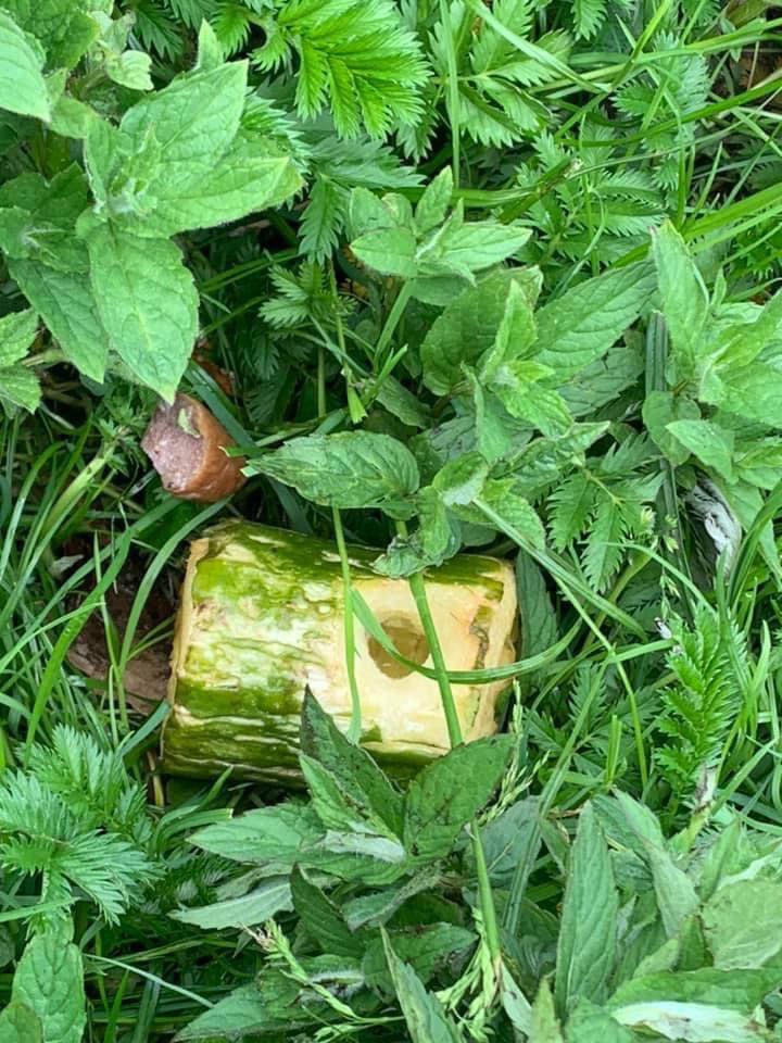 Giftköder-Giftköder-Profilbild