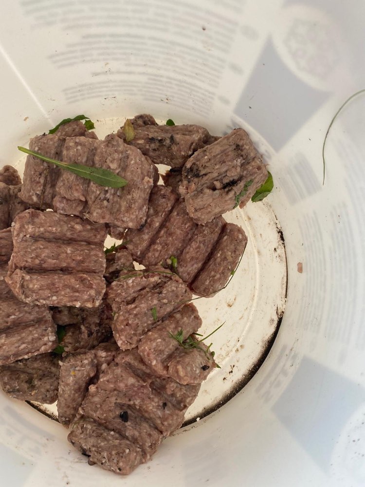 Giftköder-Vermutlich Giftköder-Profilbild