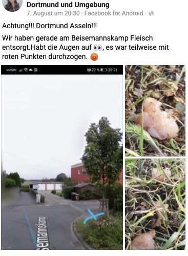 Giftköder-Fleisch mit roten Punkten-Profilbild