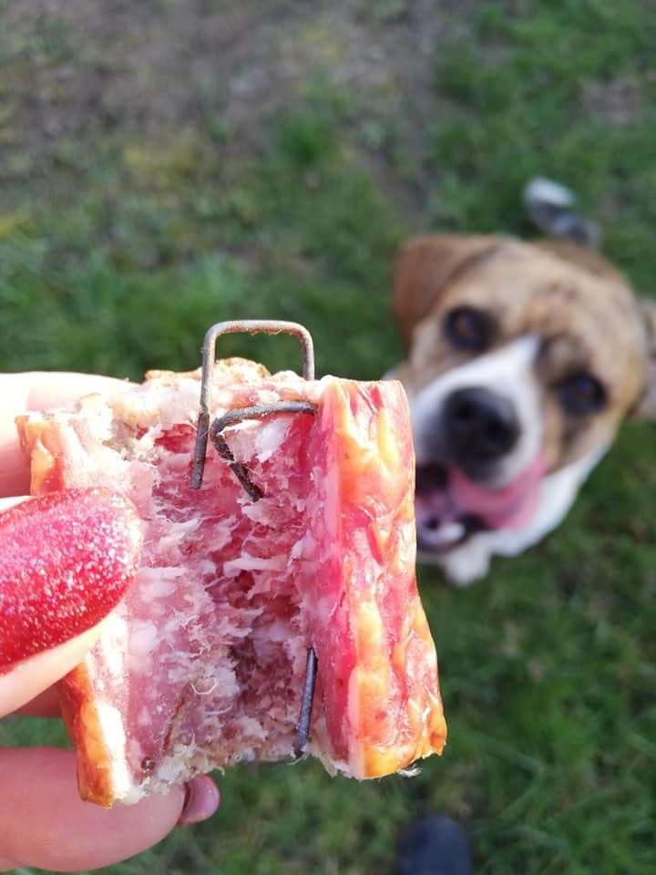 Giftköder-Wurst mit Nägeln drin-Profilbild
