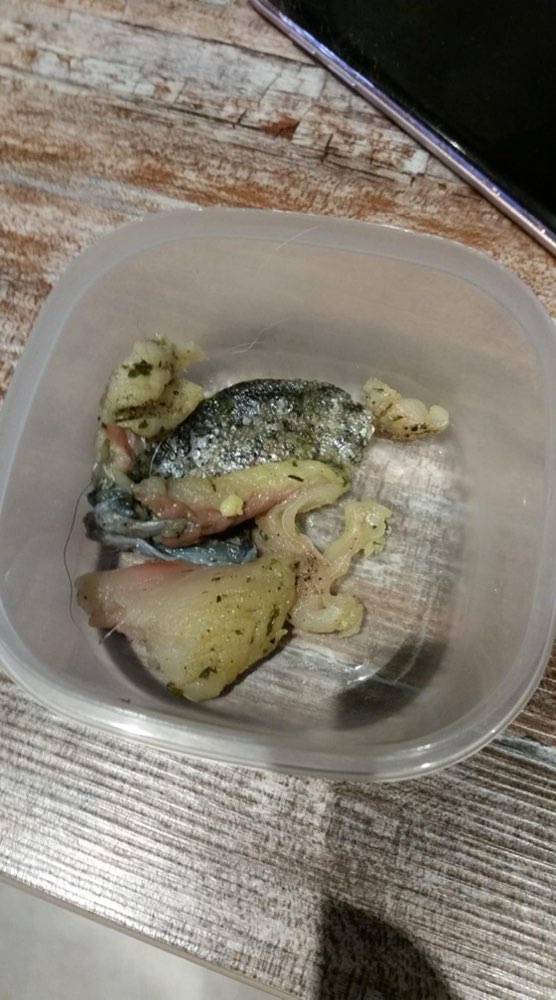 Giftköder-Giftköder-Profilbild