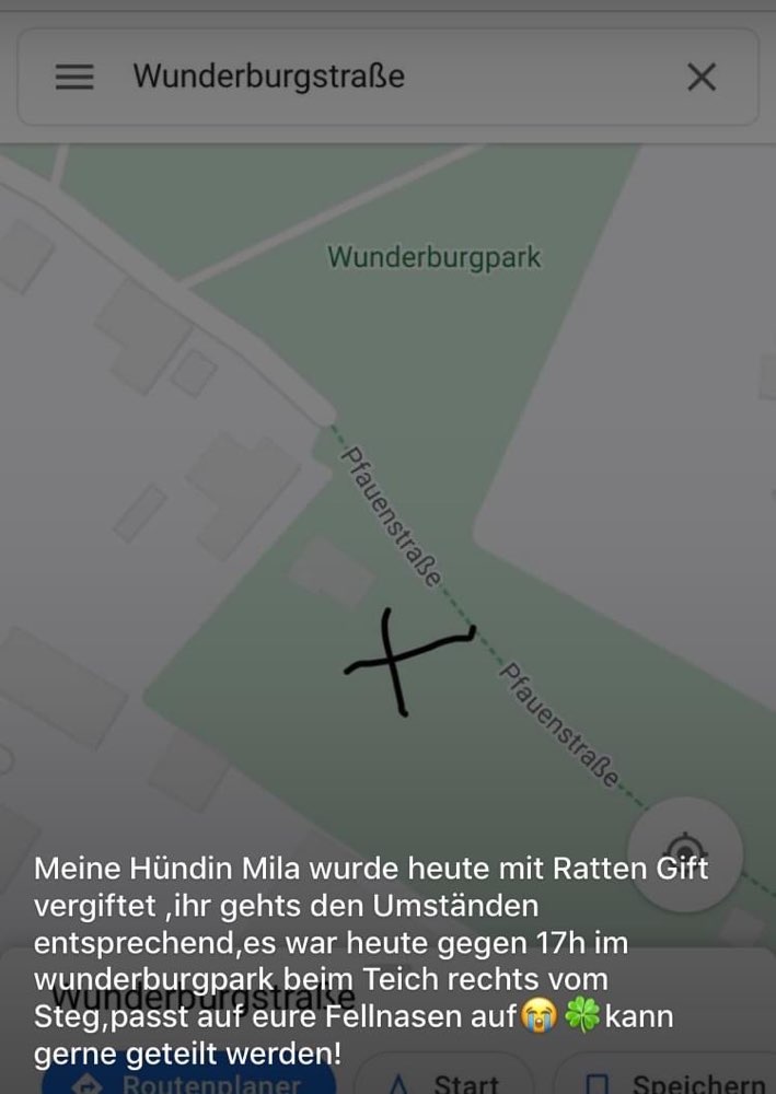 Giftköder-Vergiftete Hündin-Profilbild