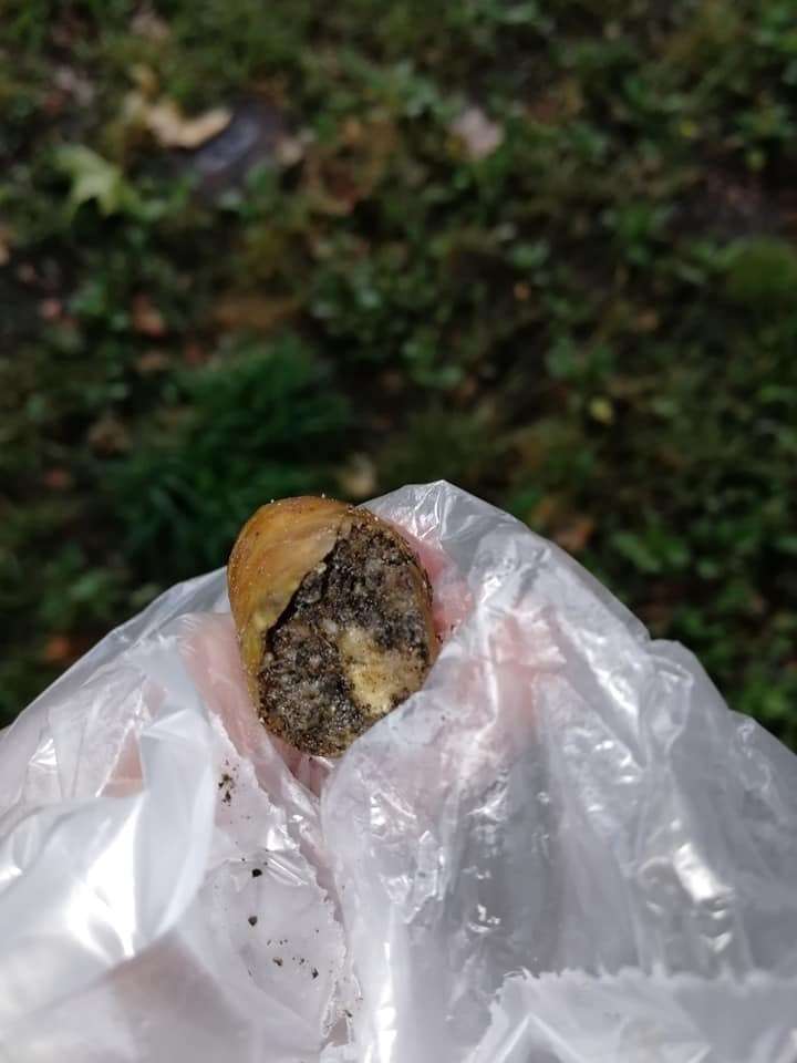 Giftköder-Wurst mit Reiszwecken Neukölln-Profilbild