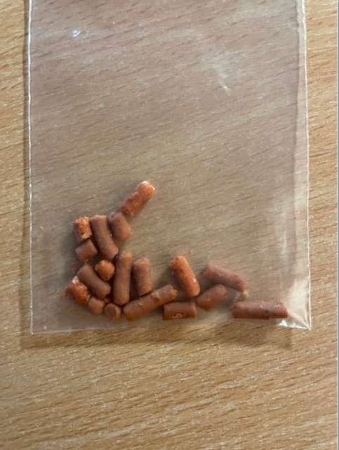 Giftköder-Polizei sucht nach Zeugen - Giftköder-Profilbild