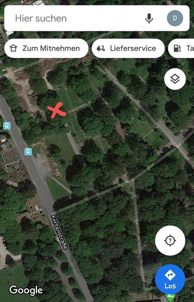 Giftköder-Eichen-Prozessionsspinner-Profilbild