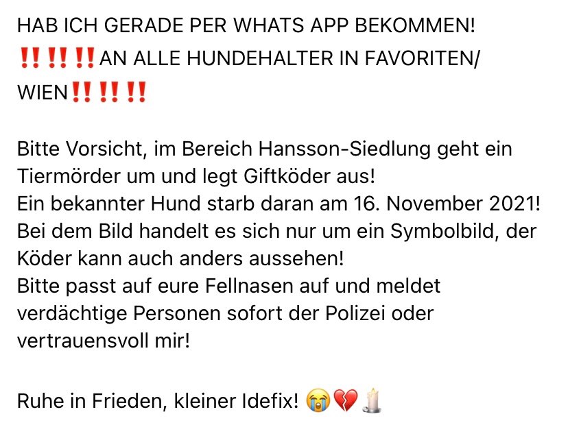 Giftköder-Vergifteter Hund-Profilbild