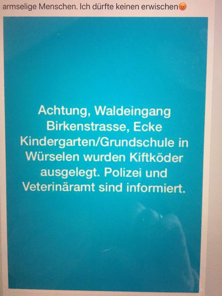 Giftköder-Giftköder das war letztes Jahr auch-Profilbild