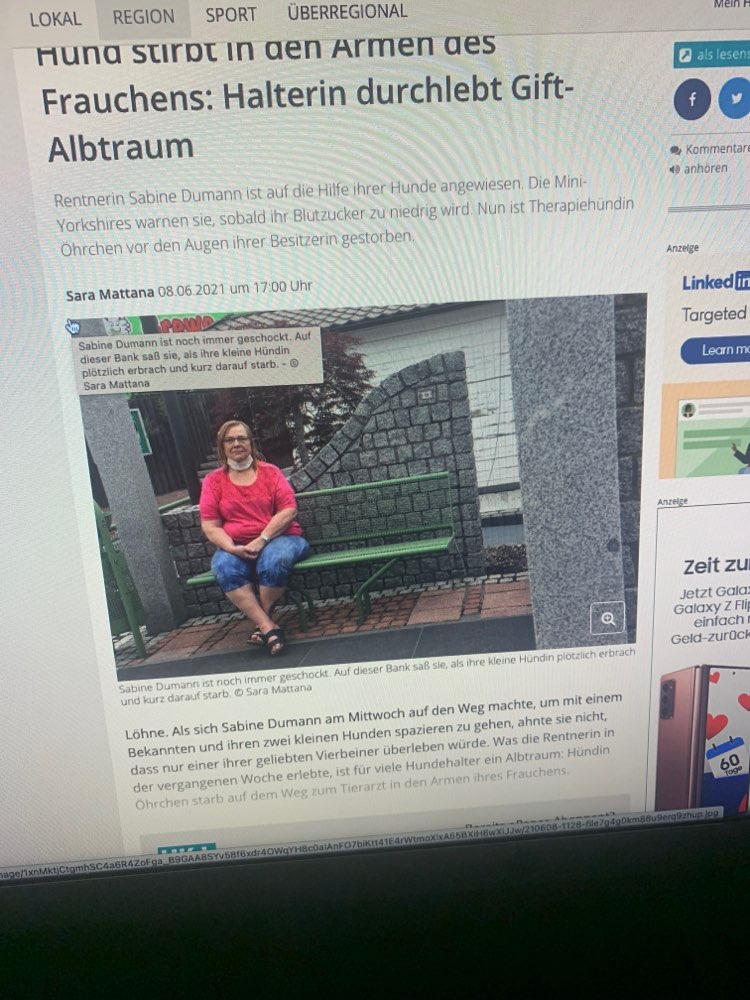 Giftköder-Giftköder - Toter Therapiehund-Profilbild