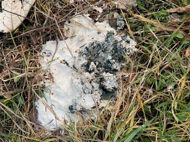 Giftköder-Giftige Substanz am Radweg in Hermeskeil-Profilbild