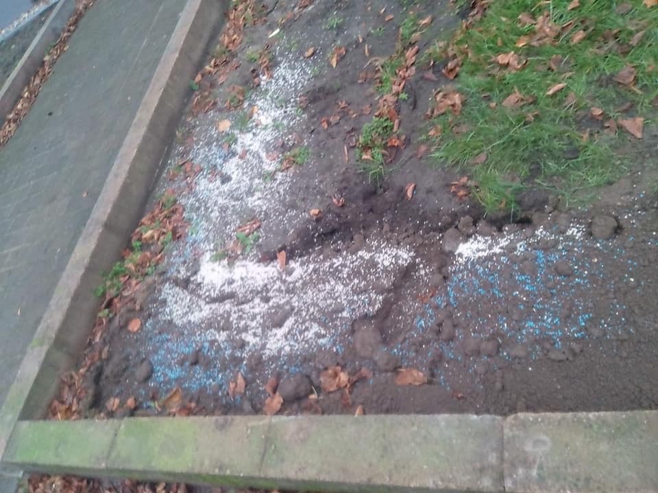 Giftköder-Blaue Körner / viel  Rattengift-Profilbild