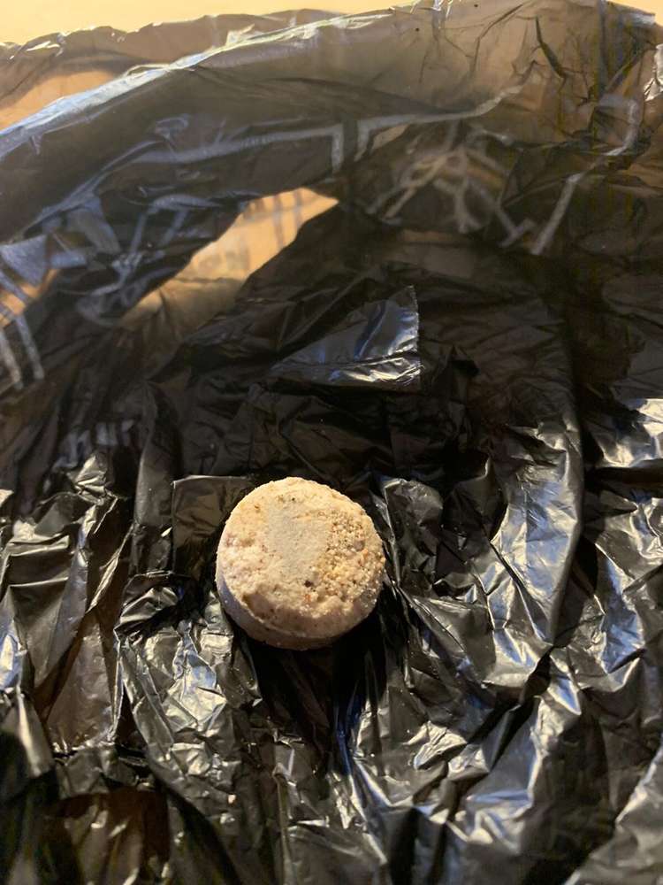 Giftköder-Giftköder in Messel-Profilbild