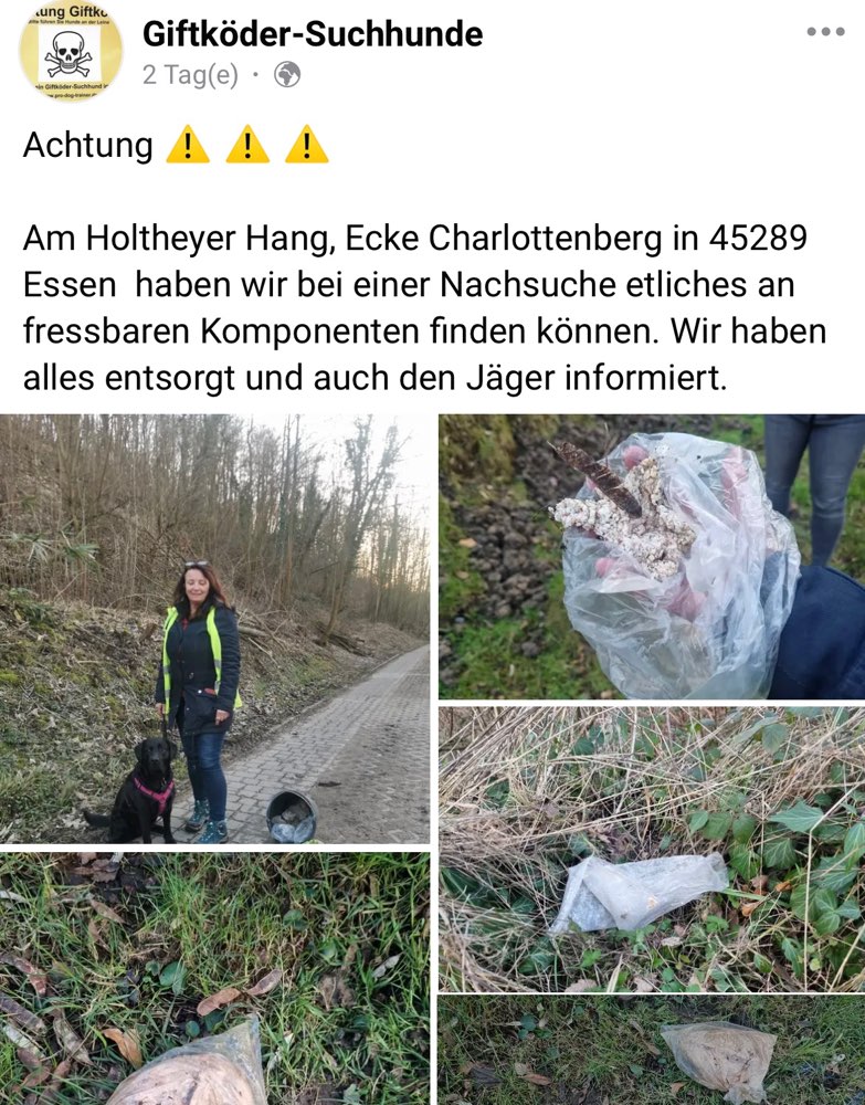 Giftköder-Möglicher Giftköder-Profilbild