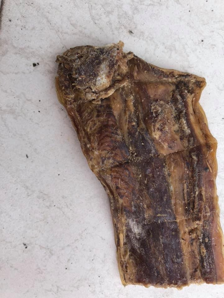 Giftköder-Vermutlich Giftköder-Profilbild