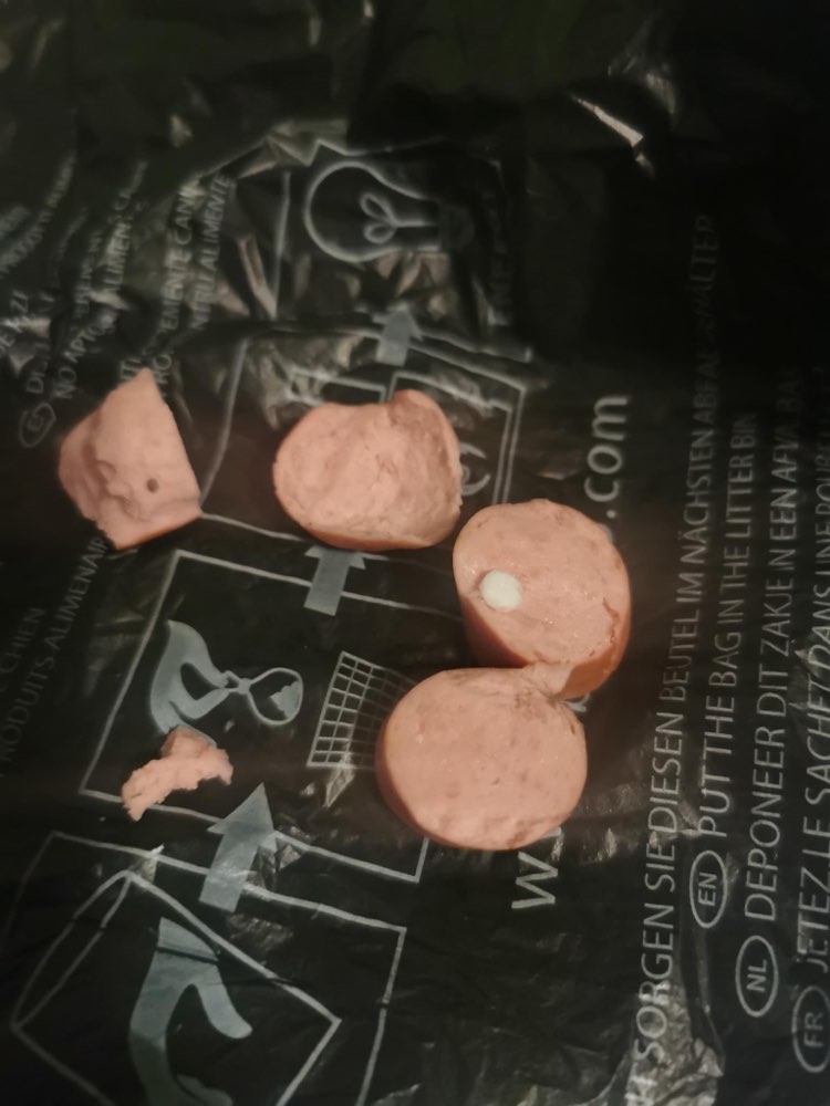 Giftköder-Möglicher Giftköder-Profilbild