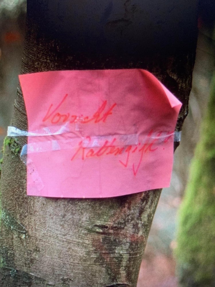 Giftköder-Rattengift-Profilbild