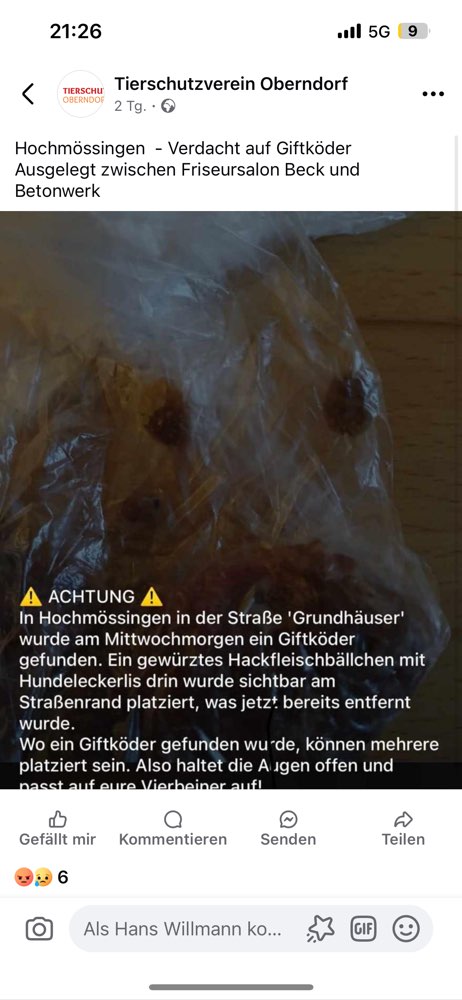 Giftköder-Giftköder-Profilbild