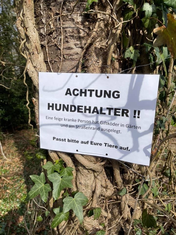 Giftköder-Rattengift-Profilbild