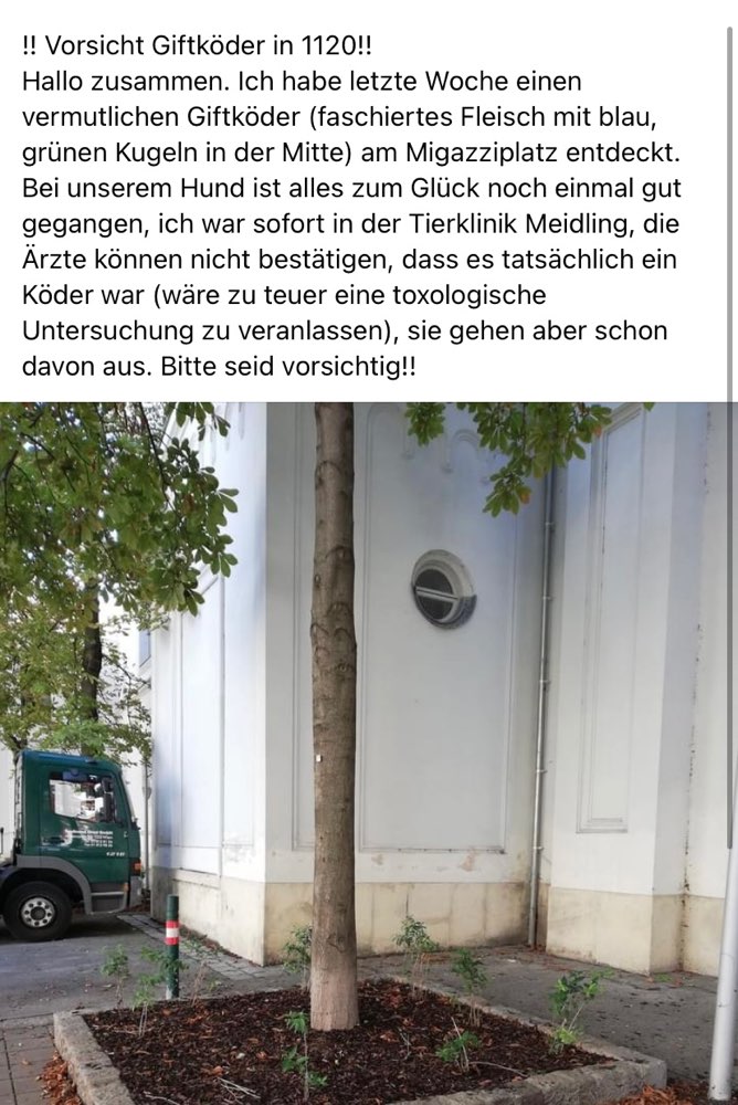 Giftköder-Fleisch mit grünen und blauen Stellen - Gift-Profilbild