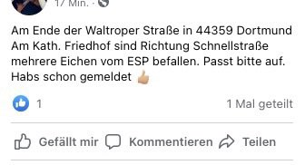 Giftköder-Eichenprozesspinner-Profilbild