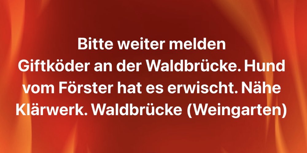 Giftköder-Giftköder-Profilbild