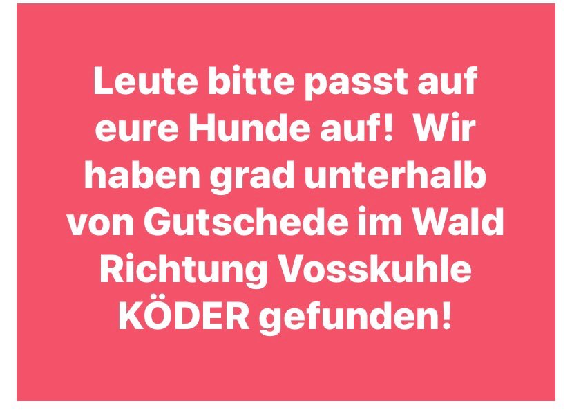 Giftköder-Giftköder-Profilbild