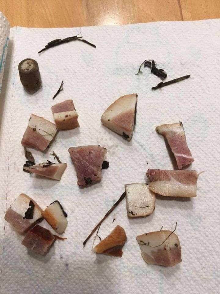 Giftköder-Fleischstücke mit Nägeln-Profilbild