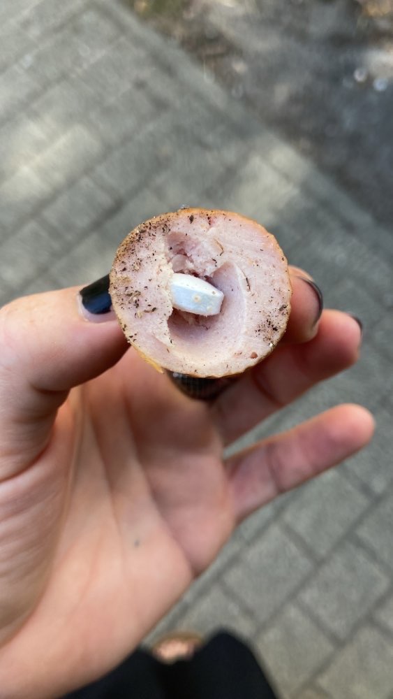 Giftköder-Bockwurst / Wurstscheiben mit Tabletten-Profilbild