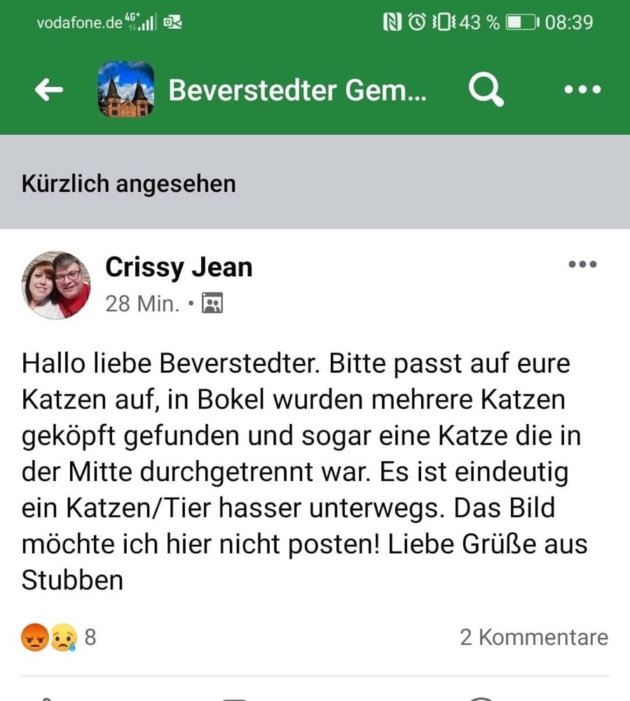 Giftköder-Geköpfte Katze-Profilbild