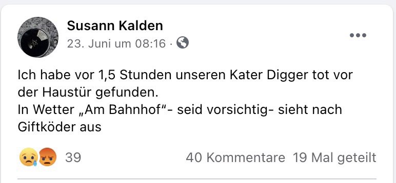 Giftköder-Tote Katze-Profilbild