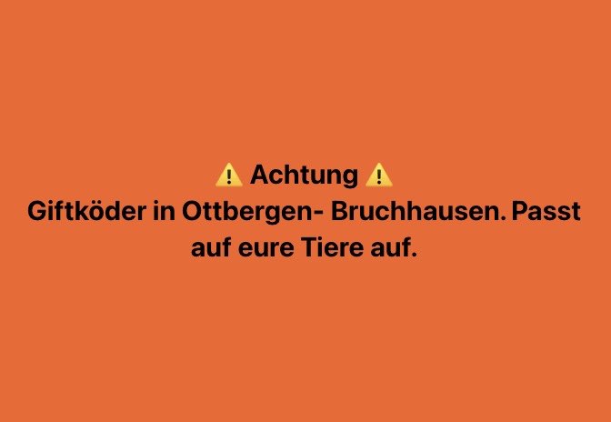 Giftköder-Giftköder-Profilbild
