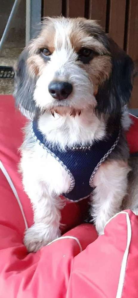Giftköder-Giftköder-Profilbild