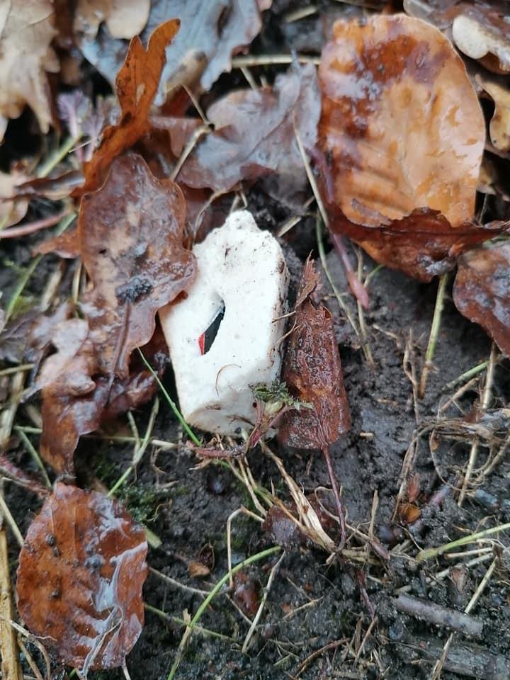 Giftköder-Erneut Giftköder-Profilbild