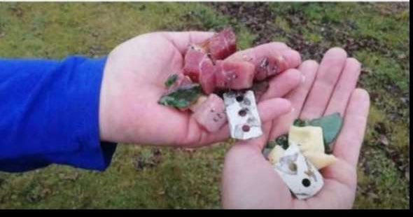 Giftköder-Erneut Giftköder-Profilbild