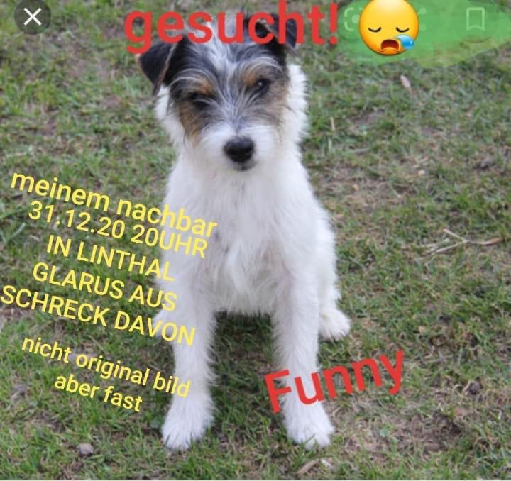 Suchmeldung-Funny-Profilbild