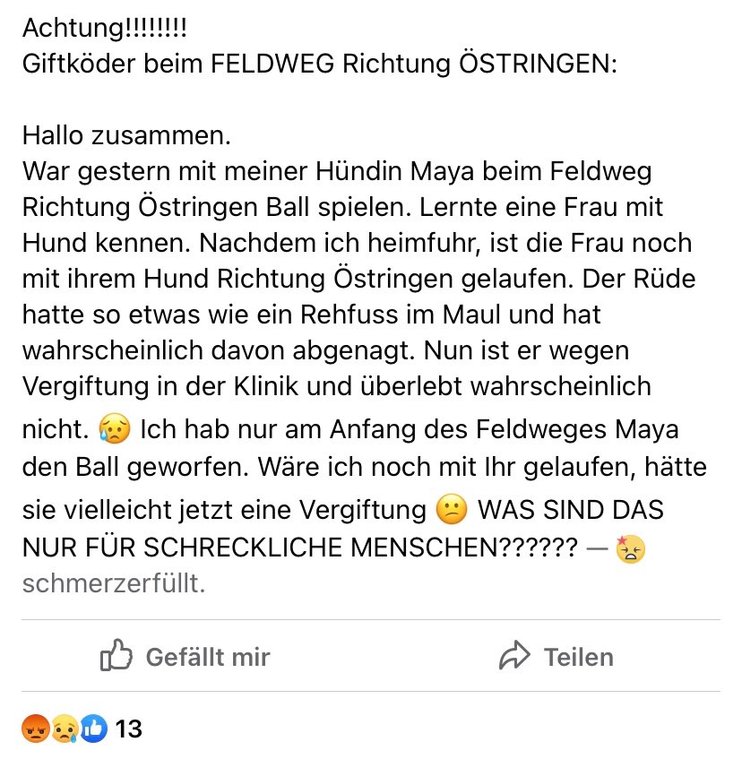 Giftköder-Giftköder-Profilbild