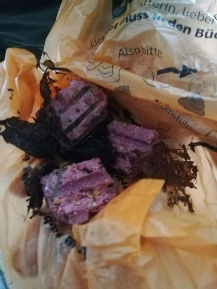 Giftköder-Rattengift-Profilbild