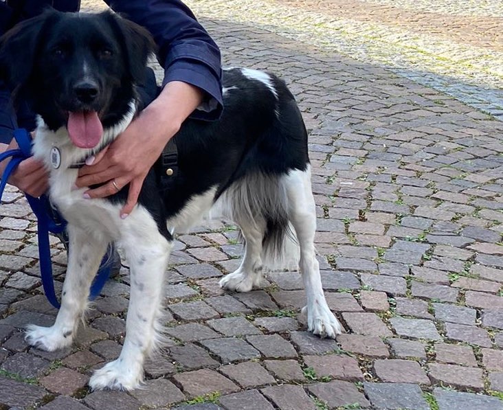 Suchmeldung-Yuki-Profilbild