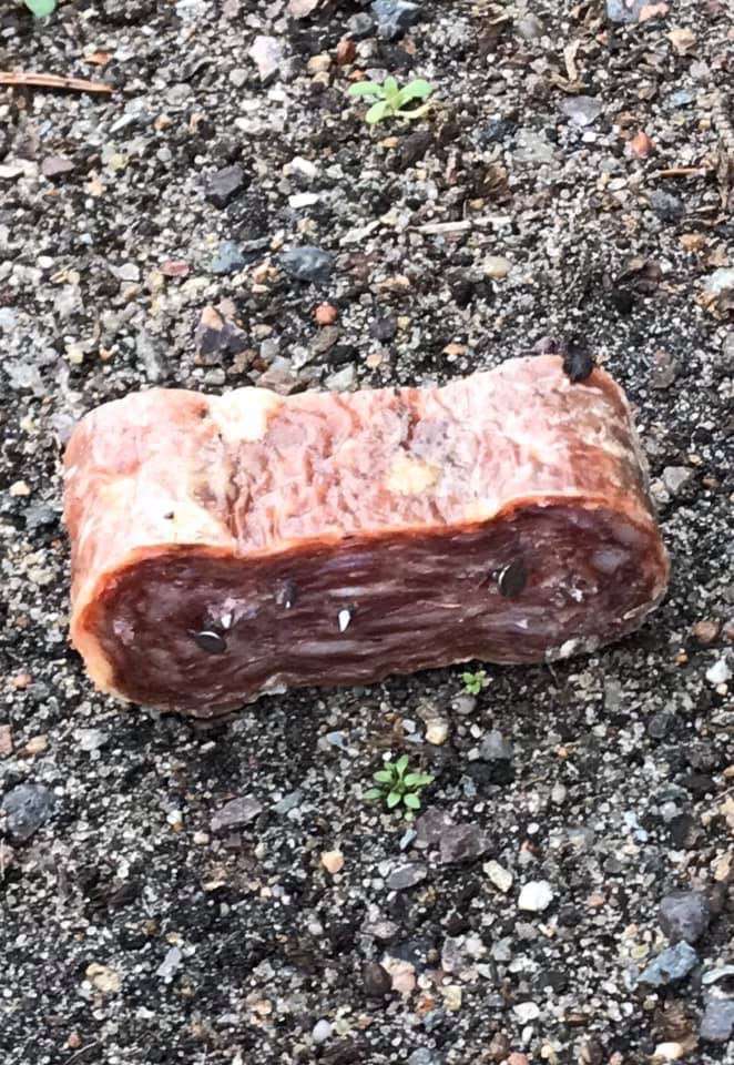 Giftköder-Salami mit Nägeln-Profilbild