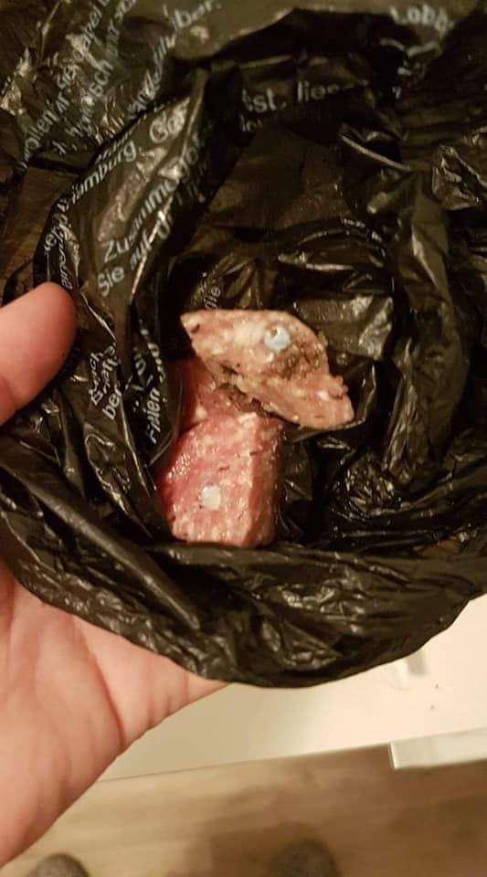 Giftköder-Vermutlich Giftköder-Profilbild