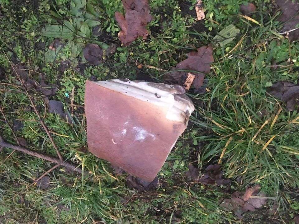 Giftköder-Vergifteter Speack-Profilbild